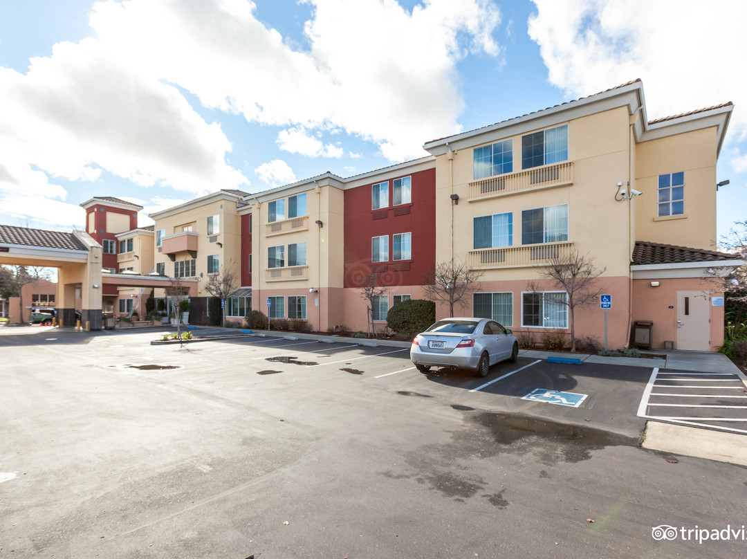 奥尔巴尼酒店住宿-伯克利快捷假日酒店