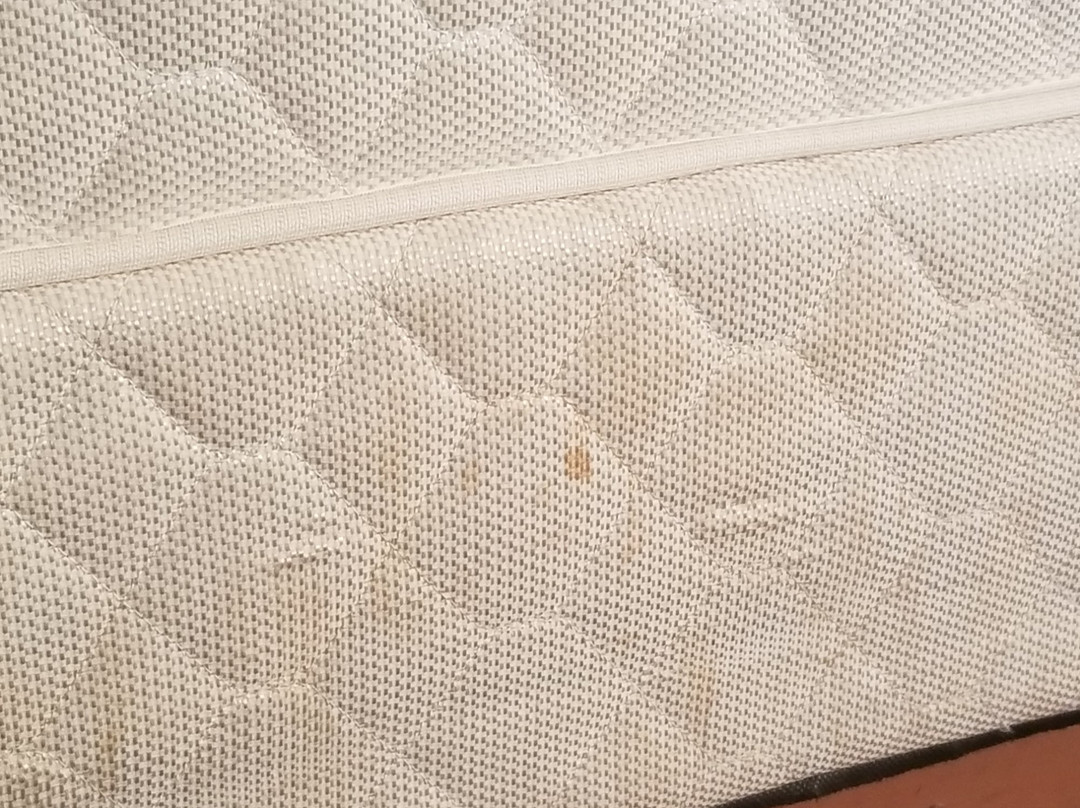 Welcome Inn & Suites