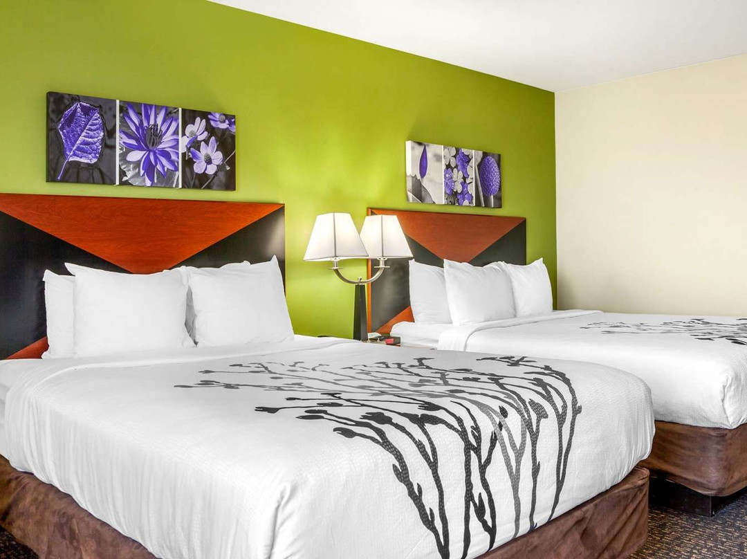 Sleep Inn & Suites Airport主图