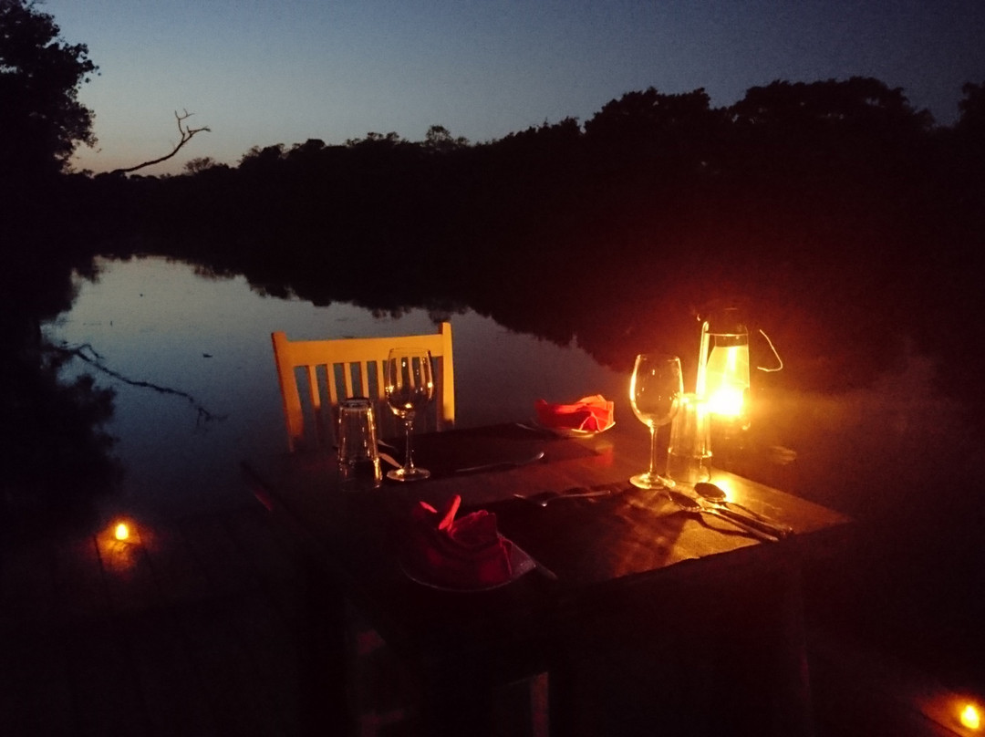 The Backwaters主图