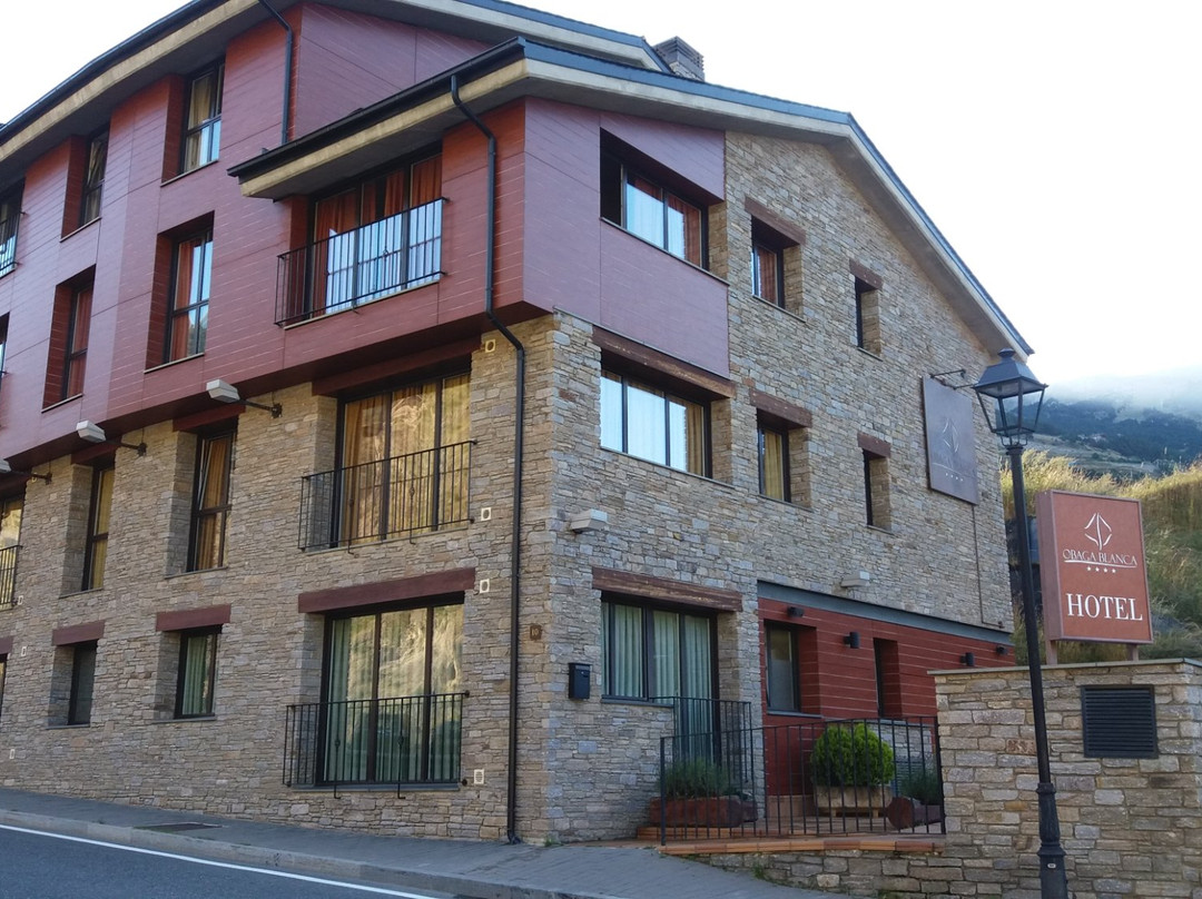 Canillo酒店住宿-Hotel Obaga Blanca