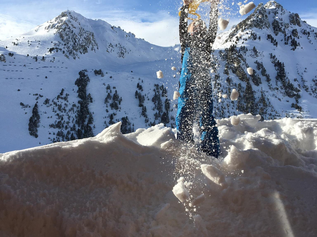 Chalet Altitude