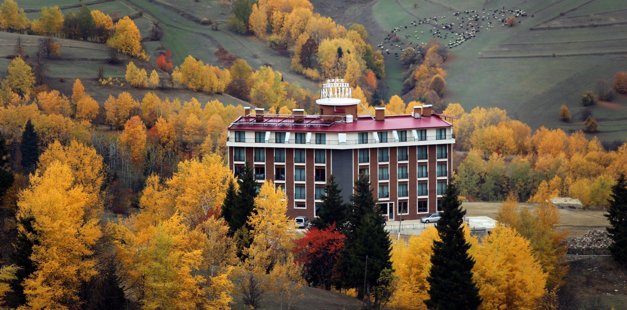 Black Forest Hotel Şavşat-官方