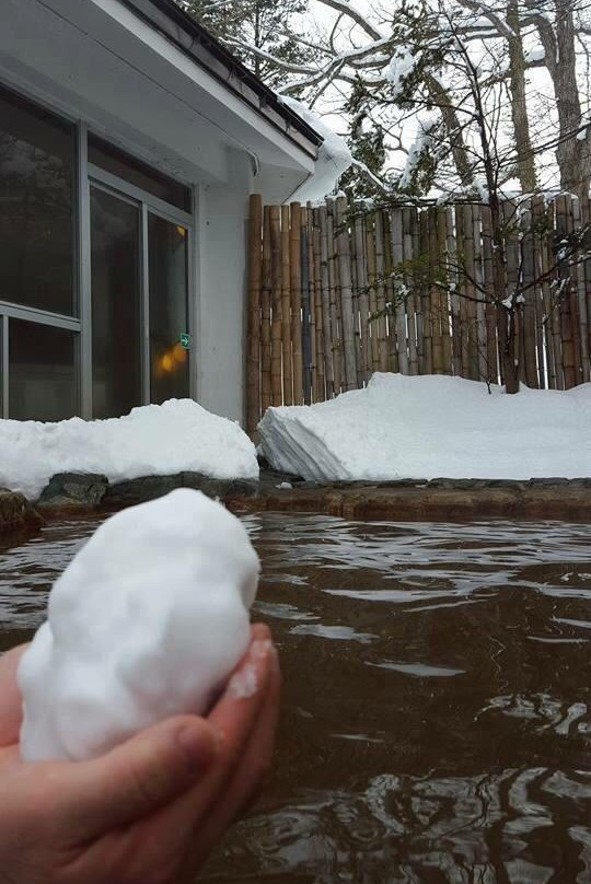Villa Nasu Kashi Onsen