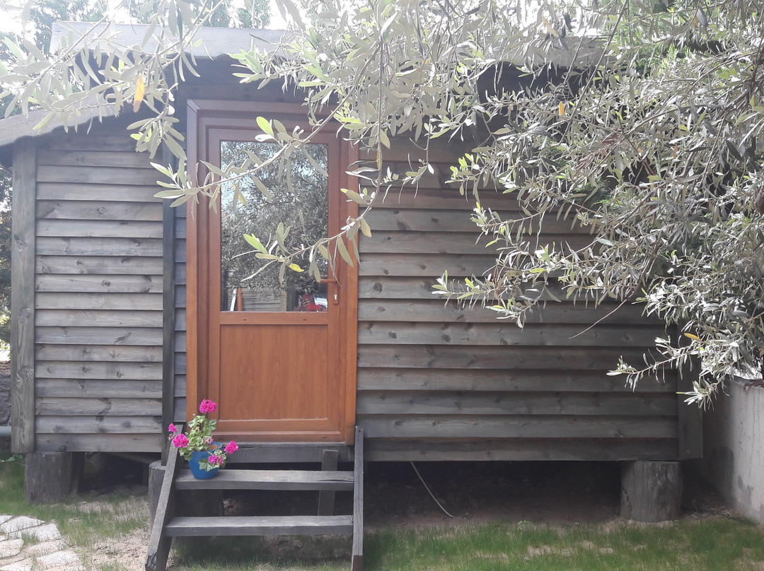 Ekinoks Beach Bungalow