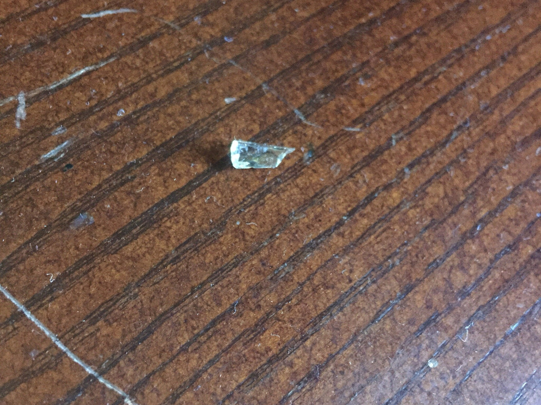 阿尔巴特罗斯酒店