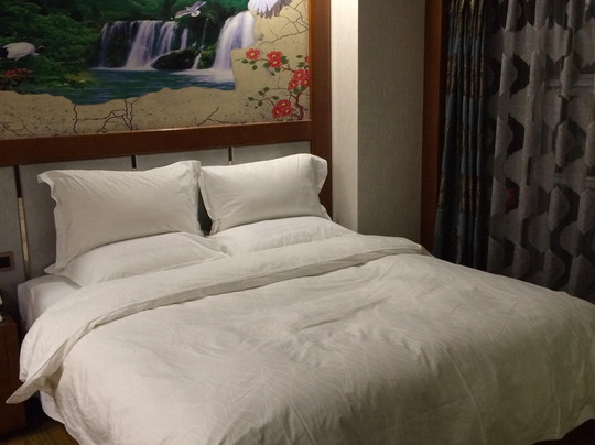 中豪大酒店主图