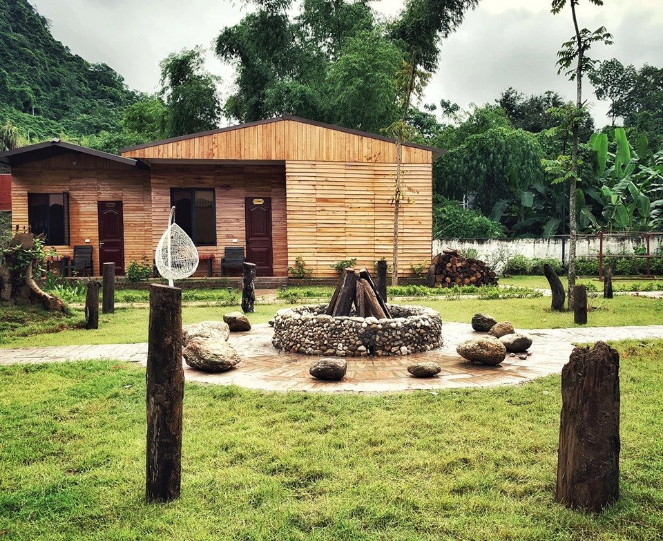 Golden Jungle House-官方