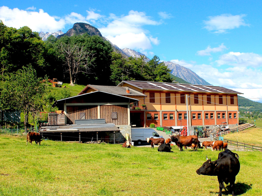 Azienda Agricola Lo Copafen景点图片