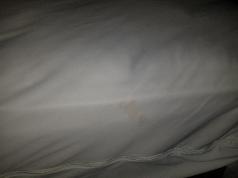 Comfort Inn & Suites Perry I-35主图