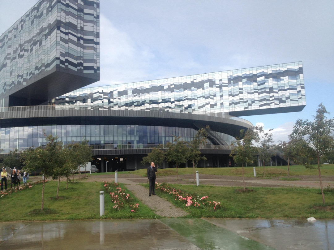 Romashkovo旅游攻略图片