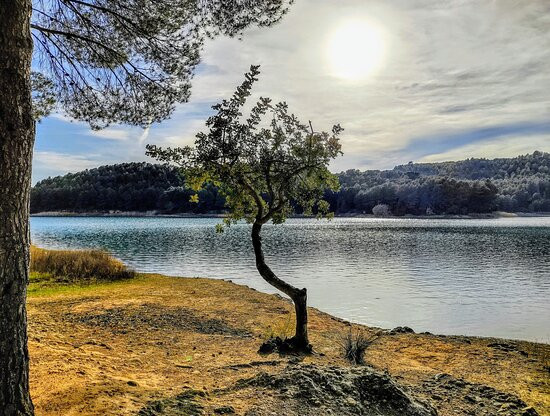 Embalse de Sichar景点图片