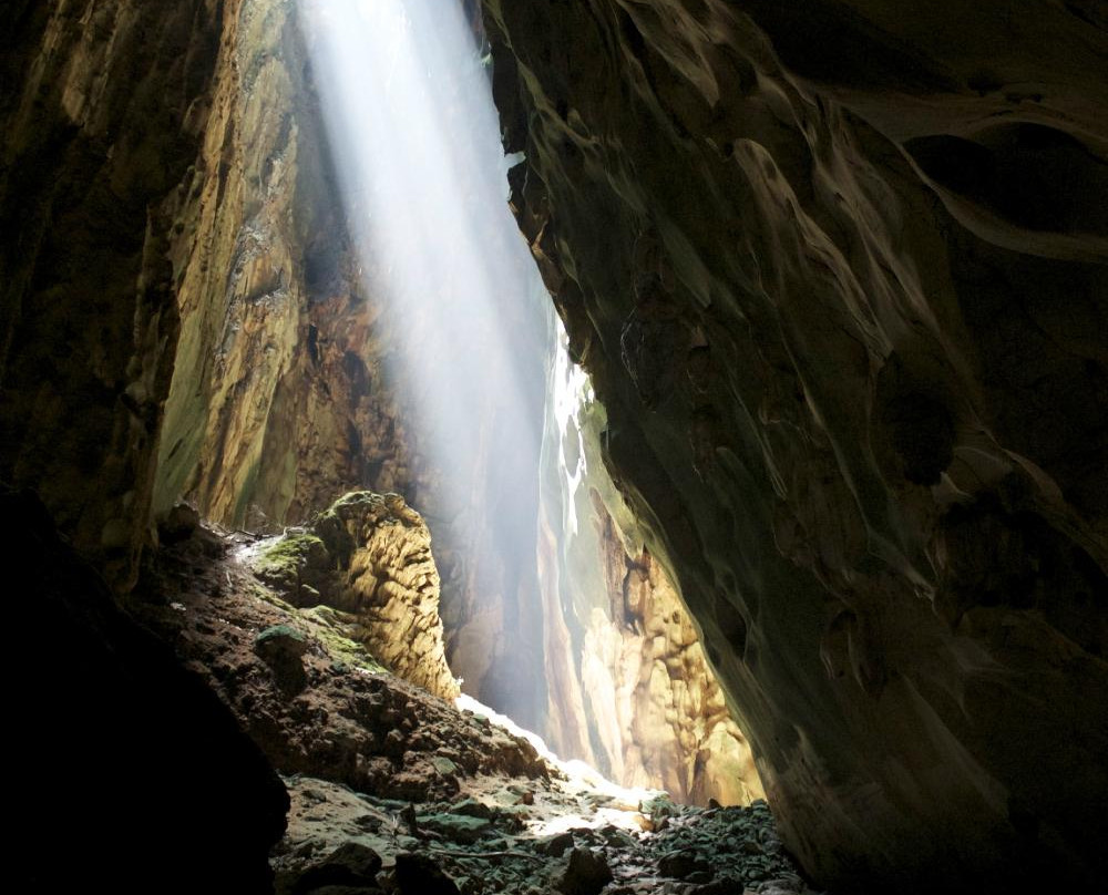 Dark Cave Malaysia景点图片