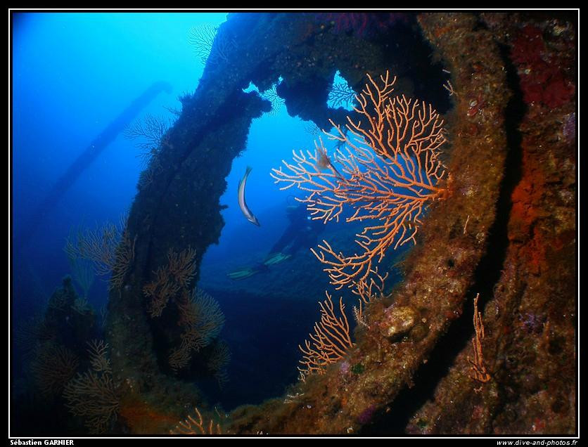 Plongee Passion Carry-Carry-le-Rouet必去景点