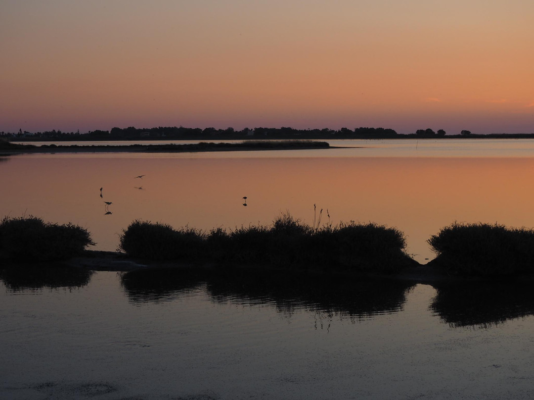 Alikes Salt Lakes Tigaki景点图片