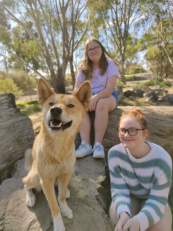 Kyabram Fauna Park景点图片