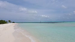 Araamu Holidays & Spa