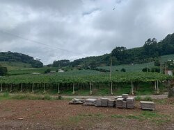 Fabian-Nova Padua必去景点