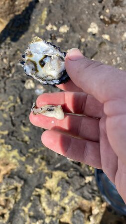 Deepwater National Park-Agnes Water必去景点