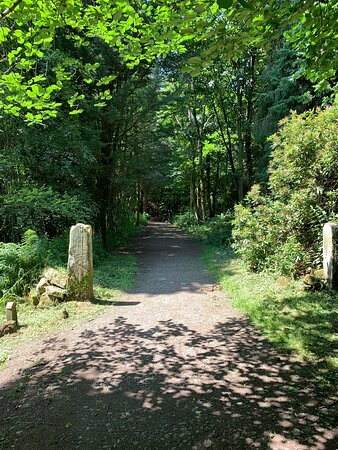 Bolam Lake Country Park-Belsay必去景点