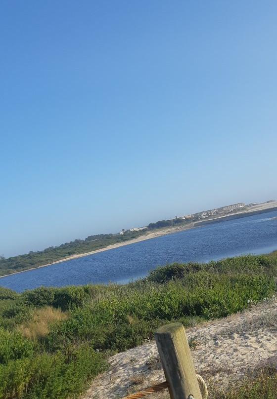 Passadiços da Barrinha de Esmoriz景点图片