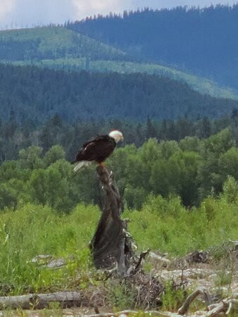 Teton Whitewater Rafting and Scenic Trips-杰克逊必去景点