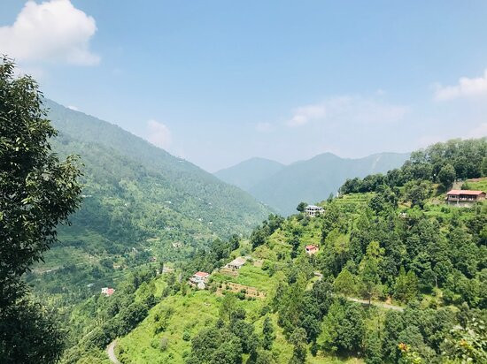 Rosa Vatika Ramgarh, Nainital主图