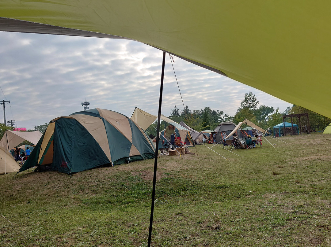 Kuriyama Sakura Campsite