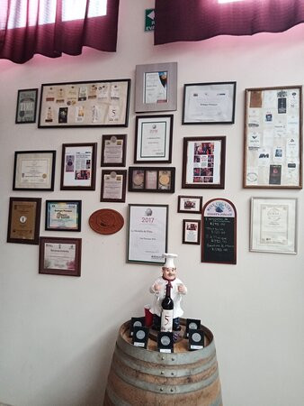 Bodegas Pinesque-奇瓦瓦州必去景点