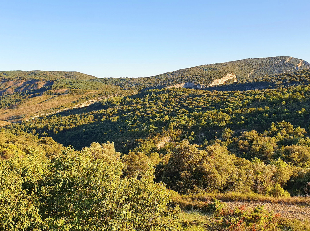 El Rincon de Aran