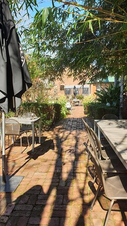 玫瑰皇冠大酒店主图