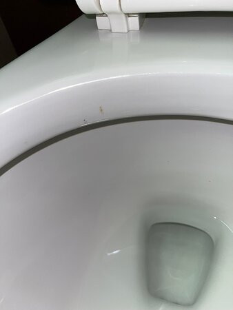 Best Western Pawleys Island主图