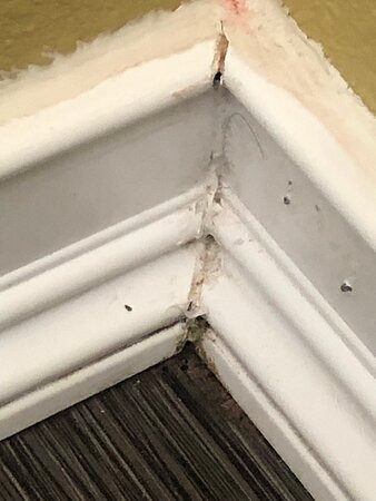 Super 8 by Wyndham Conference Center Nau/Downtown主图