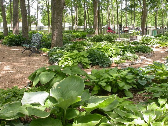 Springfield Botanical Gardens at Nathanael Greene/Close Memorial Park景点图片