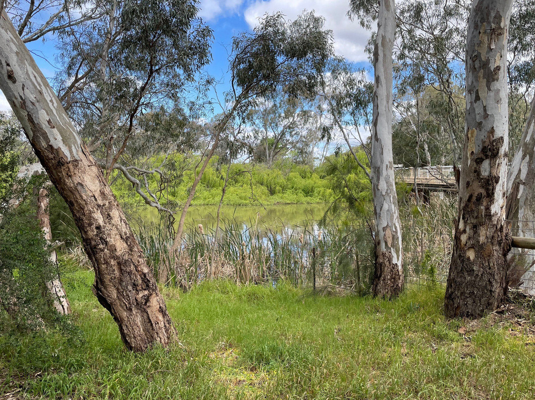 Gunbower Jetty