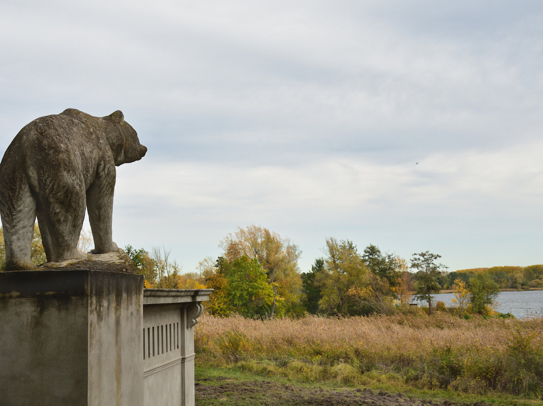 Tontaubenschießstand