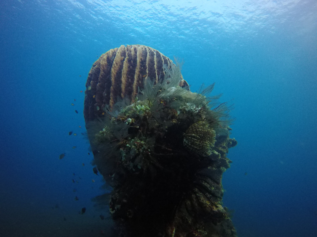 Bali Luxury Divers BLD-艾湄湾必去景点