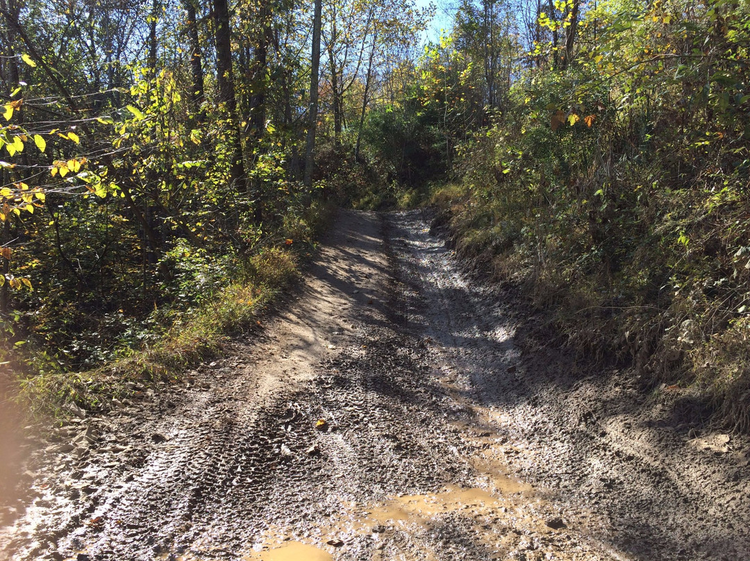 Rockhouse Trail System, Hatfield and McCoy Trails-Man必去景点