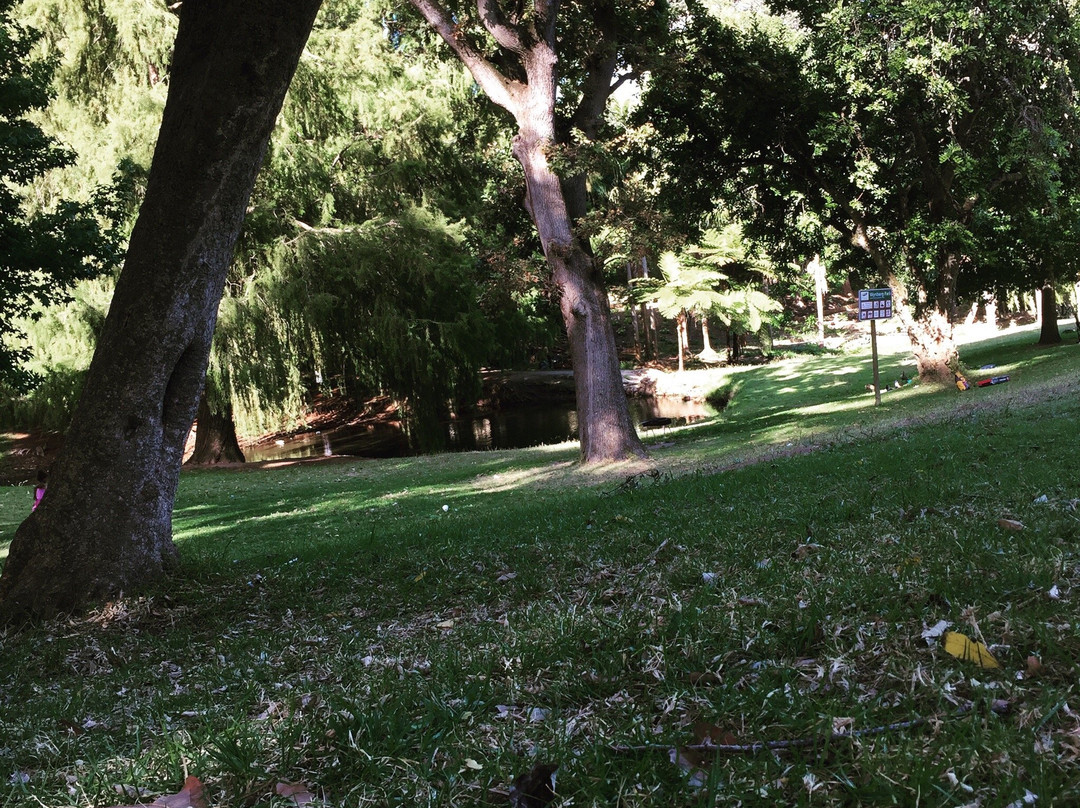 Wynberg Park-Wynberg必去景点