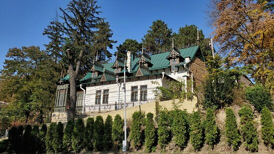 Dacha Shalyapina State Historical and Cultural Museum景点图片