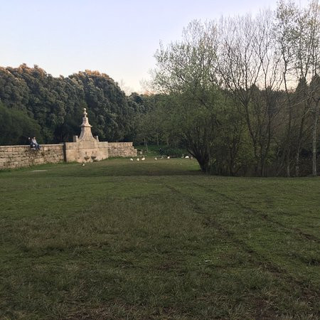 Parque da Cidade景点图片