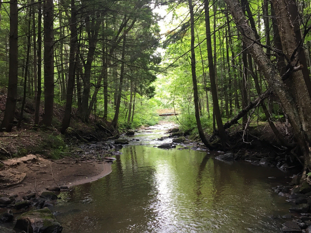 Parc régional de la Rivière Gentilly景点图片