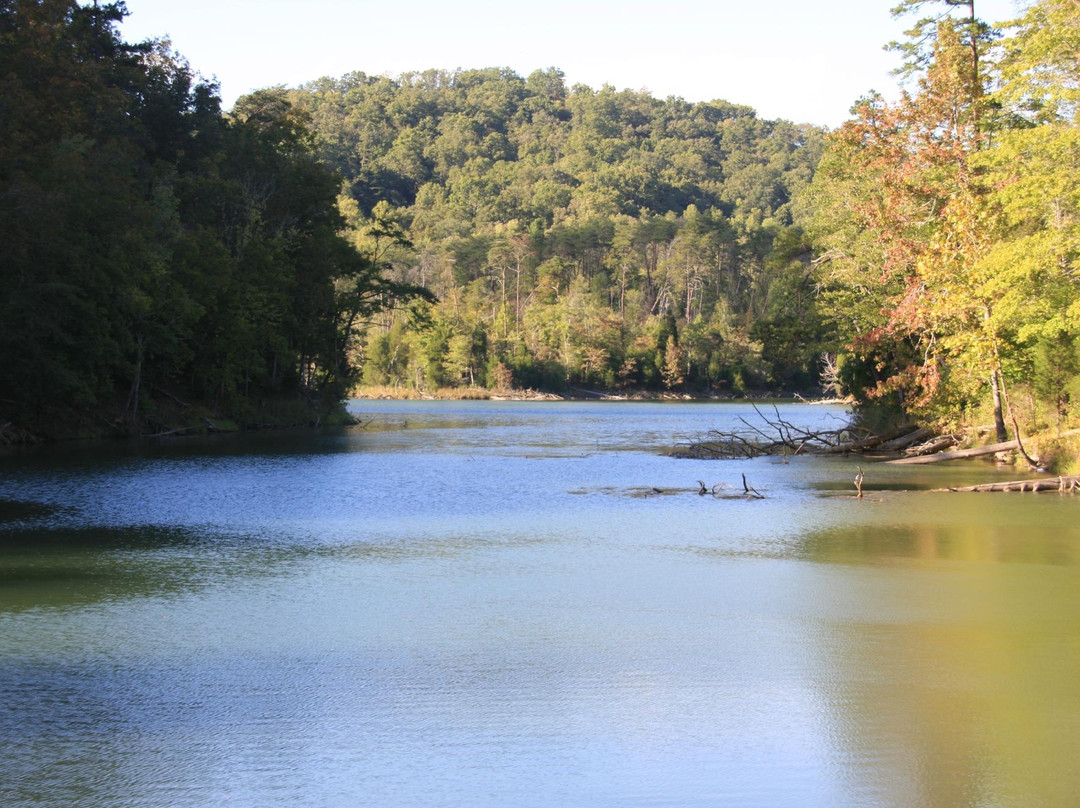 Maynardville旅游攻略图片