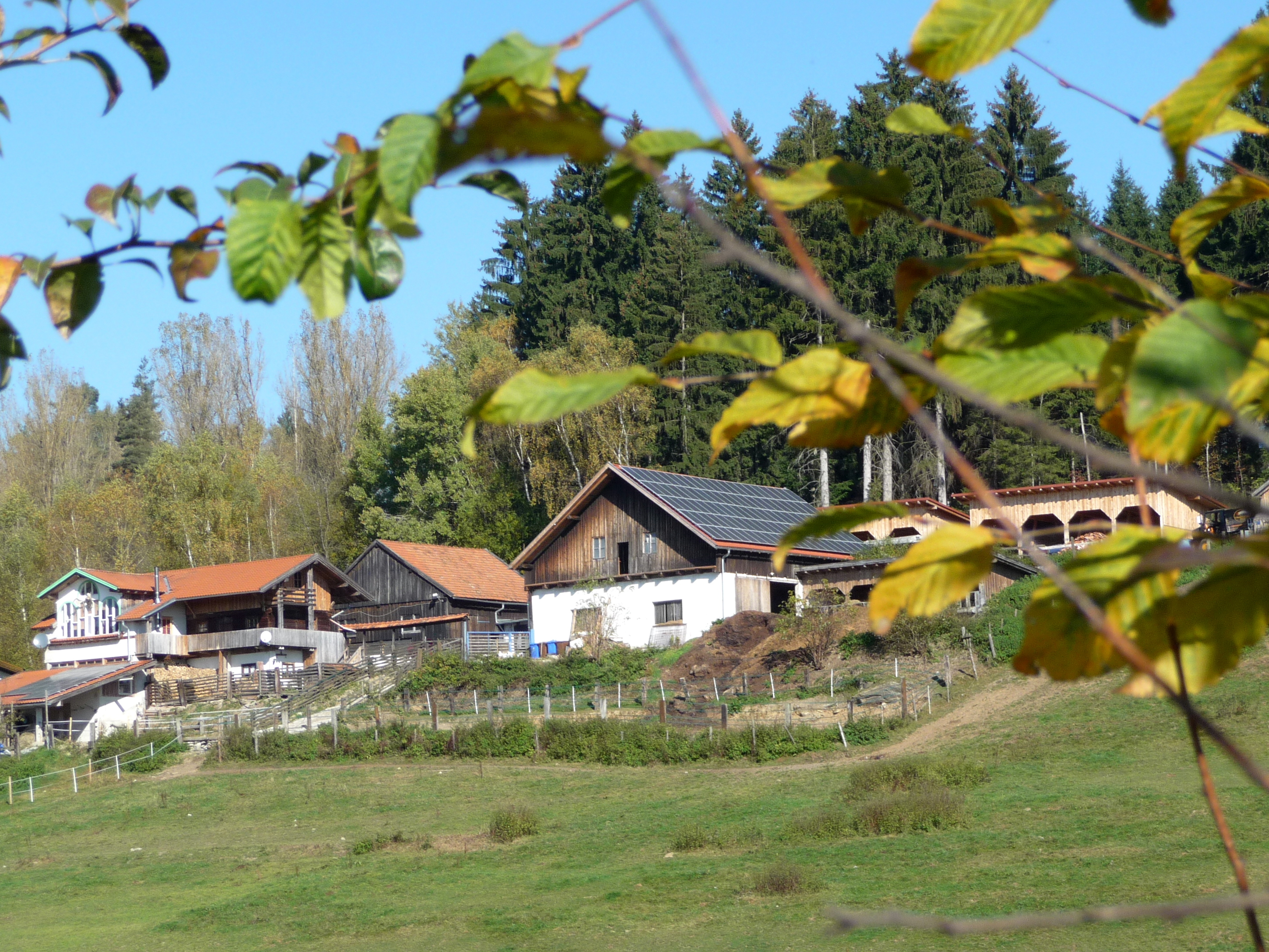 Tigerhill Ranch-客卧