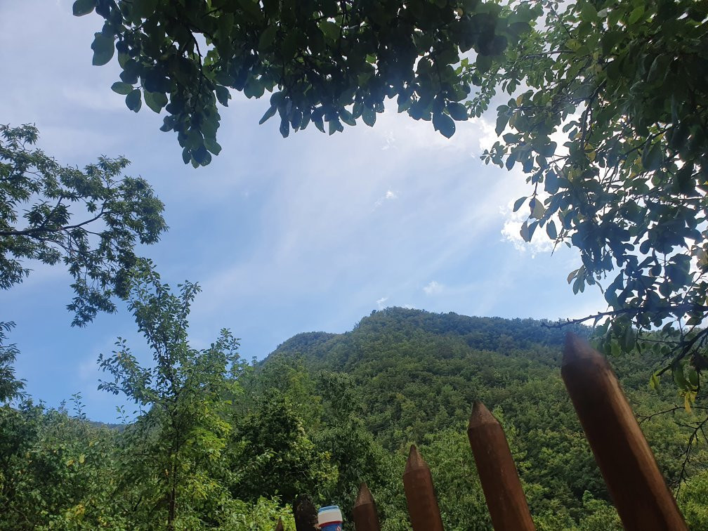 La Casa nel Bosco