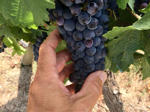 FEEL BASQUE COUNTRY-圣塞瓦斯蒂安必去景点