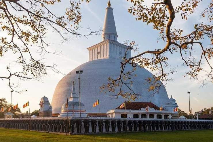 Sri Lankan Travel Care