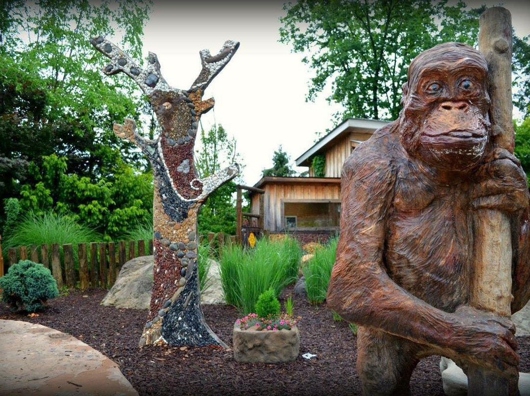 Pikeville旅游景点-Ponds and Plants