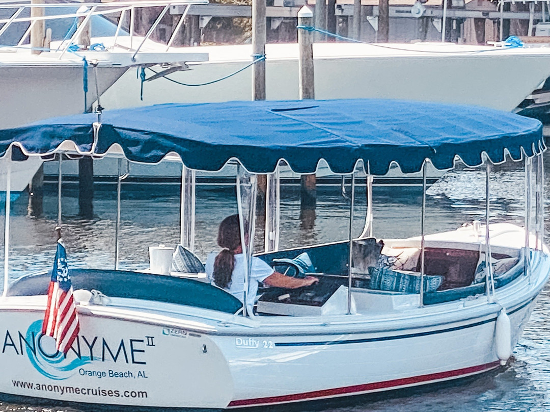 Anonyme Cruises
