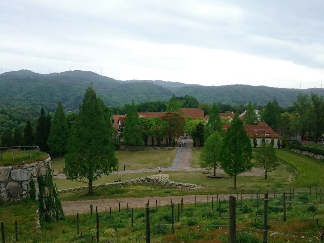 German Forest Kronenberg景点图片